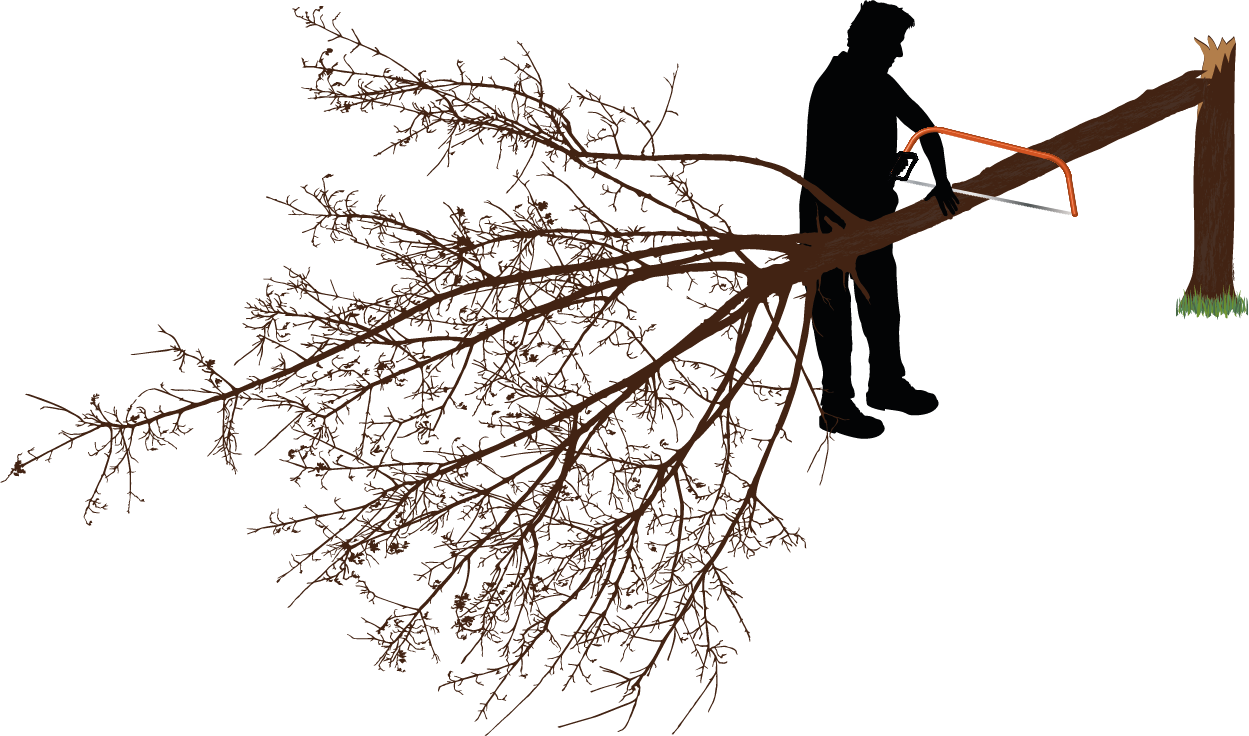 How To Use A Bow Saw